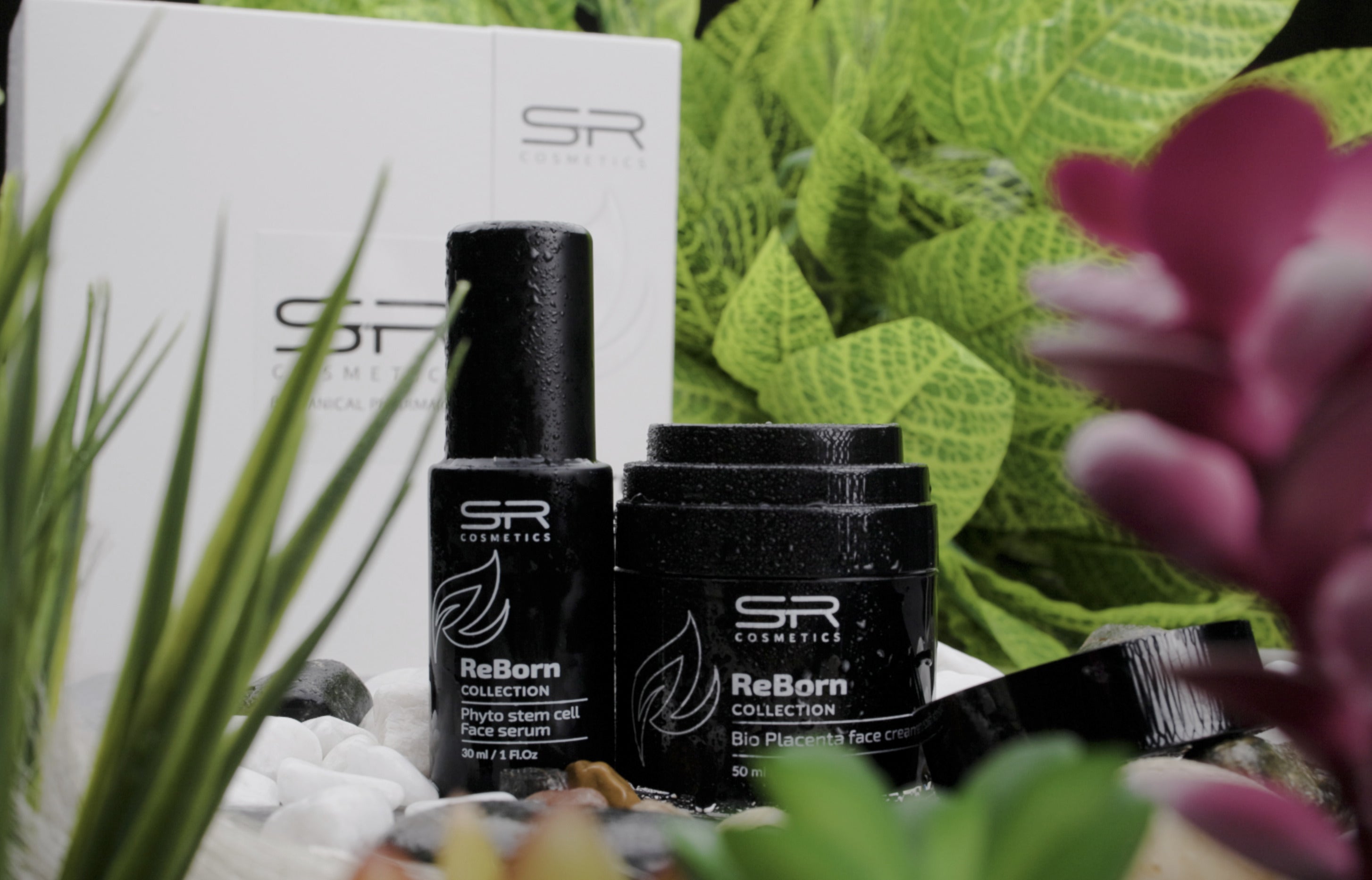 Collection Reborn - Objet D'occasion - Voir Description Du Vendeur Pour Détails Et Imperfections
